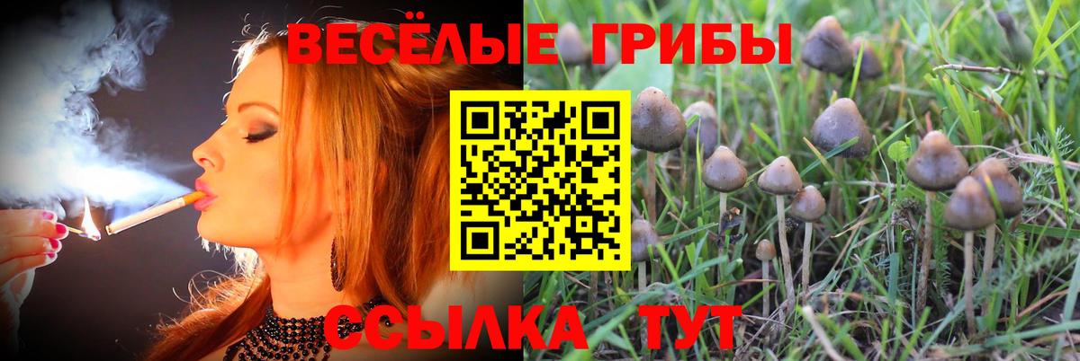 Галлюциногенные грибы GOLDEN TEACHER  Вход с VPN  Чита 