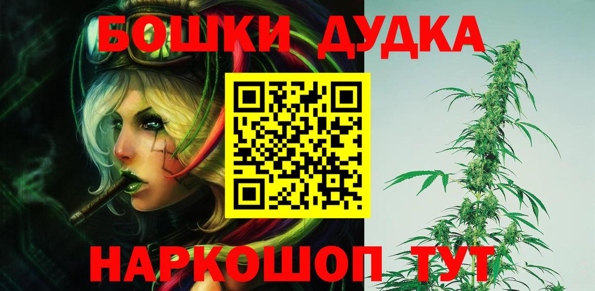 Конопля сатива Чита